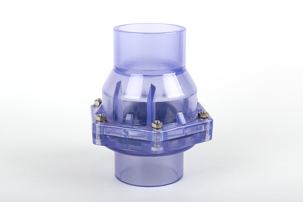 兴化透明翻板式止回阀